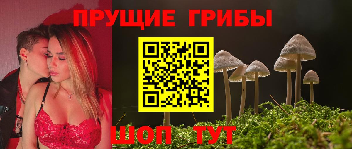 Пугачёв  Псилоцибиновые грибы MAGIC MUSHROOMS  Галлюциногенные грибы Magic Shrooms  Вход с VPN 